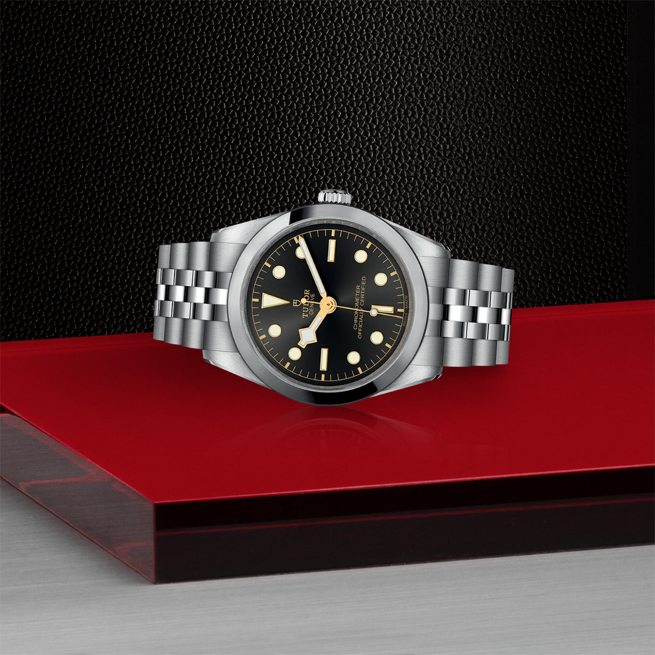 Tudor | Black Bay 36 | M79640-0001 | Maison Birks